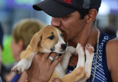 Prefeitura de Maricá realiza campanha de adoção e inscrições para castração de cães e gatos em Bambuí