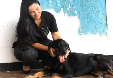 Campanha de vacinação antirrábica termina neste sábado em Inoã e Itaipuaçu