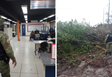 Guarda Municipal averigua denúncia de desmatamento em Itaipuaçu