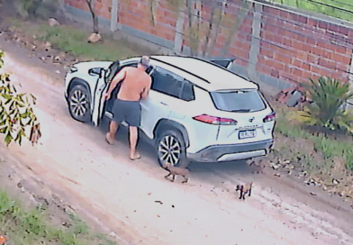 Filhotes abandonados em Santa Paula são resgatados e caso é registrado na 82°DP