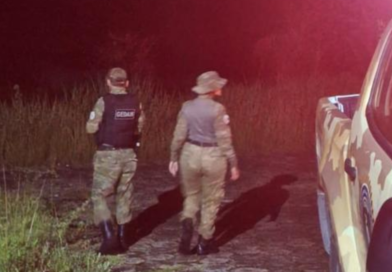 Aparição de onça mobiliza Guarda Municipal em área rural de Maricá