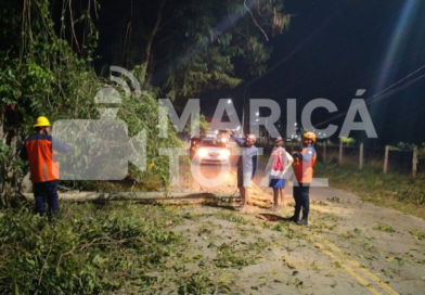 Defesa Civil remove árvore caída e libera trânsito na Estrada do Caxito