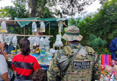 Polícia Ambiental apreende 11 animais silvestres vendidos irregularmente em feira de Itaipuaçu