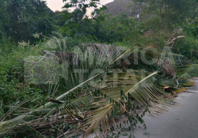 Moradores denunciam abandono e acúmulo de lixo em área pública no Jardim Atlântico Oeste