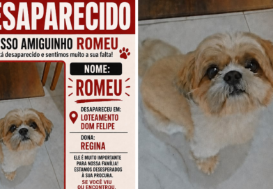 Família procura por cão desaparecido desde Domingo(09/08)