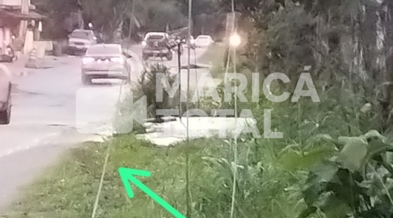 Cabo de alta tensão cai na Estrada de Ponta Negra e moradores cobram atendimento da Enel